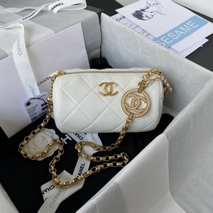 Chanel Handbags 1129